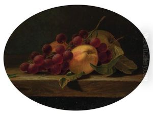 Still Life Still Life