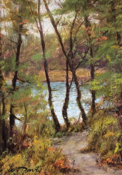 View Near Ship Harbor, Mt. Desert, Maine - view 1
