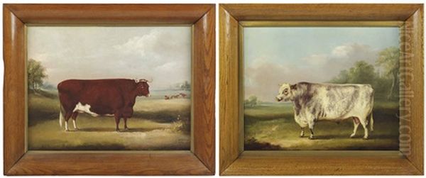 A Prize Bull In A Landcape; And A Prize Cow In A Landscape - view 1