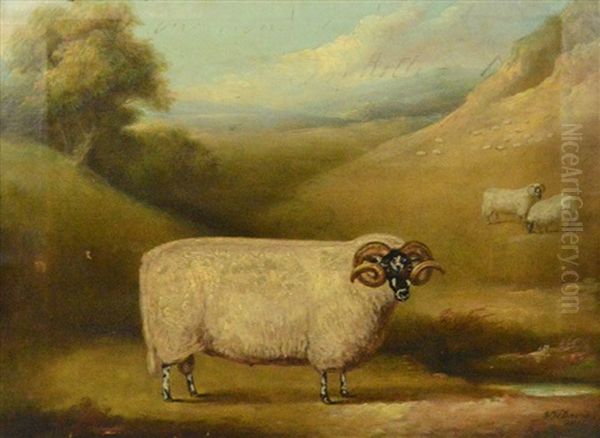 Naive Study Of A Curly Horned Ram In Landscape With Further Sheep Beyond - view 1