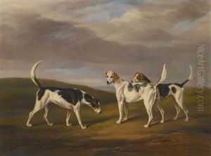 Blue Cap, Selim And Brides Maid, Three Hounds In A Landscape Blue Cap, Selim And Brides Maid, Three Hounds In A Landscape
