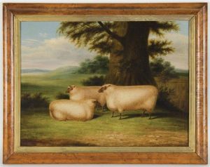 Three Sheep Under A Tree Three Sheep Under A Tree