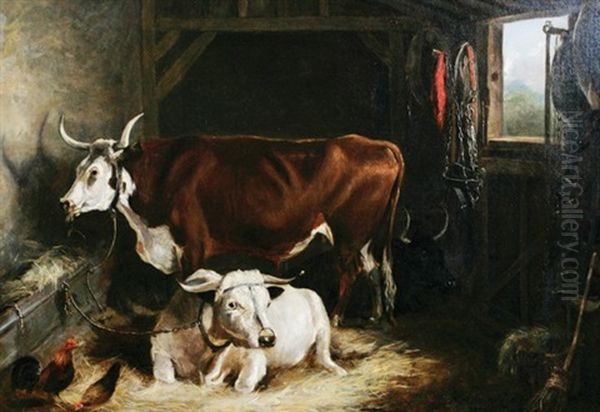 Cattle In An Interior - view 1