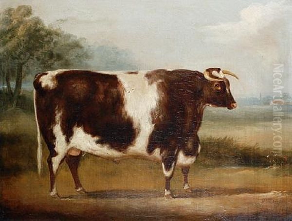 Bull (study) - view 1