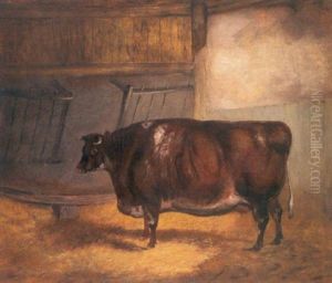 Study Of A Cow In A Stable Study Of A Cow In A Stable