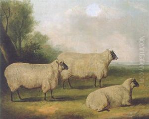 Three Sheep In A Landscape Three Sheep In A Landscape