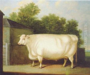 A Prize White Bull In A Farmyard by William Henry Davis