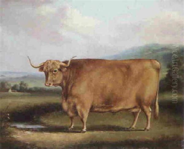 A Longhorn Bull In A Landscape - view 1
