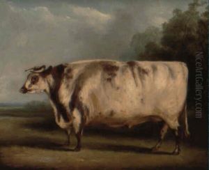 A Shorthorn Ox In A Landscape