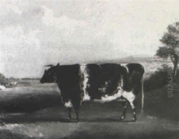 Prize Cow In A Landscape - view 1