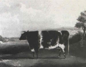 Prize Cow In A Landscape