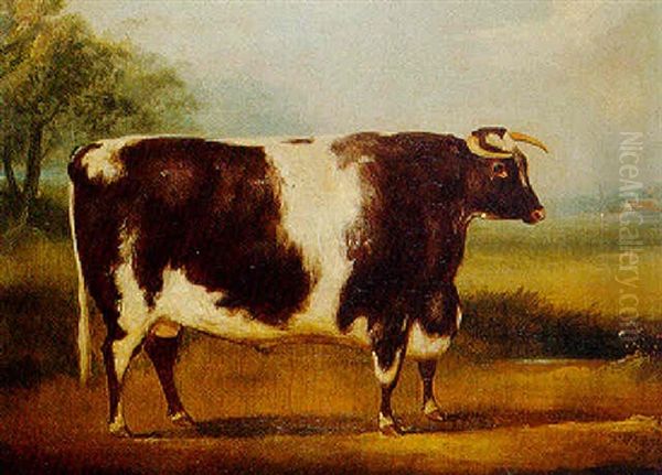 A Brown And White Prize Bull In A Landscape - view 1