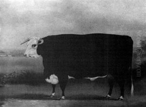 Hereford Bull In A Landscape by William Henry Davis