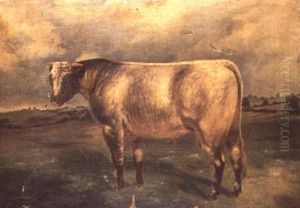 A Shorthorn Bull In A Landscape