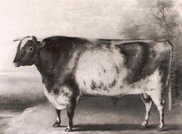 A Prize Shorthorn Bull - The Property Of W. Farr Esq. - In A Landscape - view 1