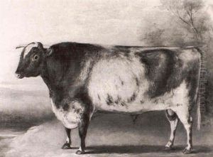 A Prize Shorthorn Bull - The Property Of W. Farr Esq. - In A Landscape by William Henry Davis
