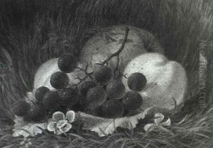 Still Life Of Grapes And Peaches In A Natural Setting by William Moore Davis