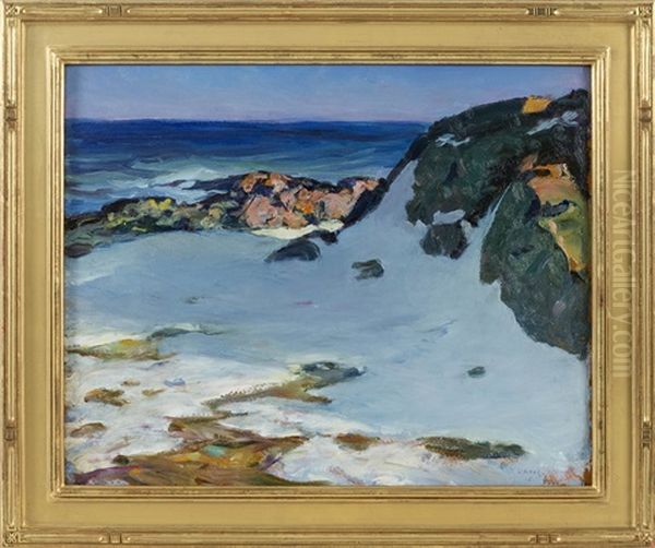 Sunlit Shore - view 1