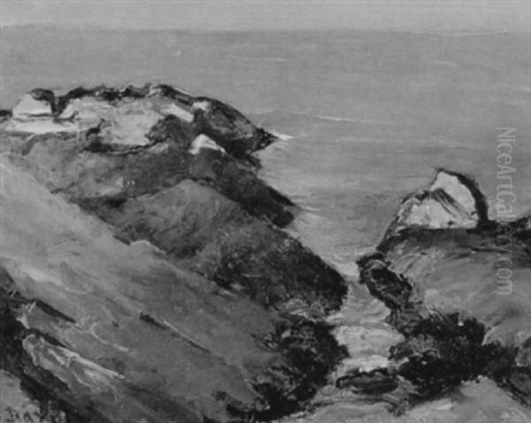 Sunset On A Rocky Coast - view 1