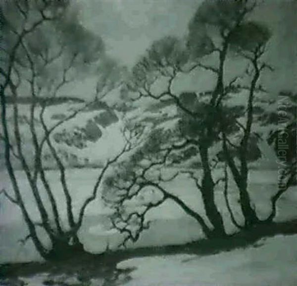 Willows In Winter - view 1