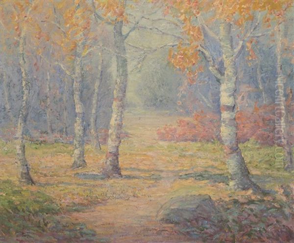 Path Through A Tree-lined Landscape - view 1