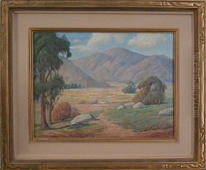 Desert Landscape