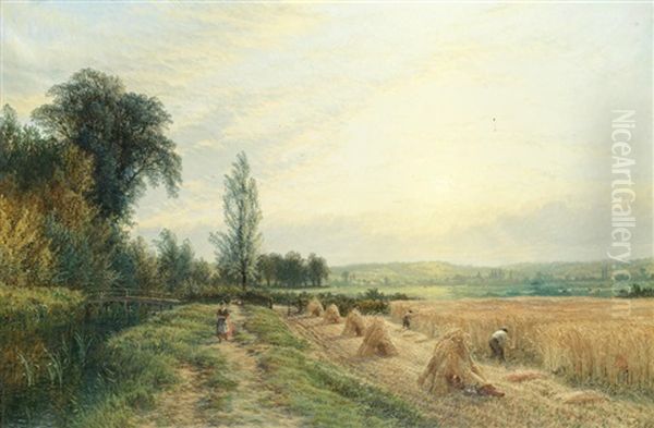 Harvest Time - view 1
