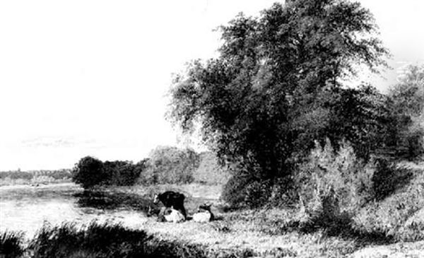 View Near Nottingham - view 1