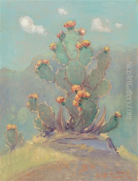 Cactus - view 1