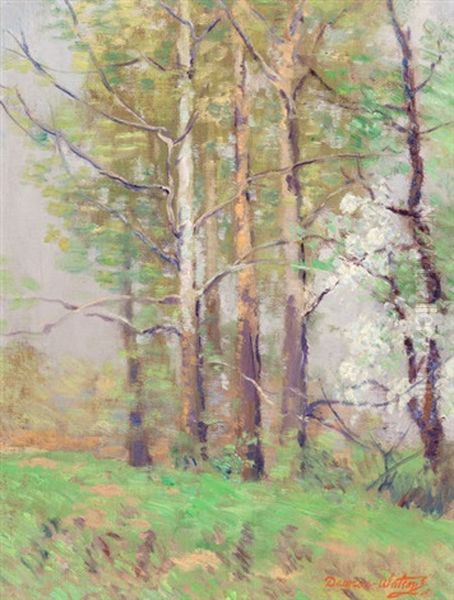 Forest Scene - view 1