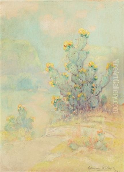 Cacti - view 1