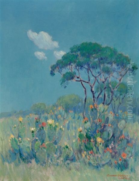 Texas Cacti - view 1