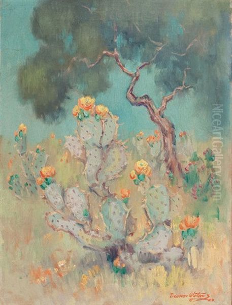 Cacti In Bloom - view 1