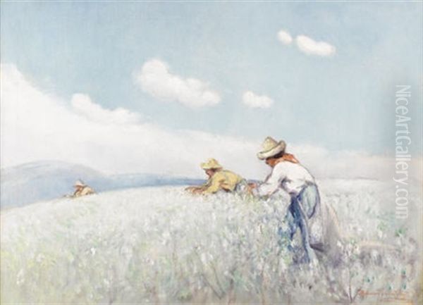 The Cotton Pickers - view 1