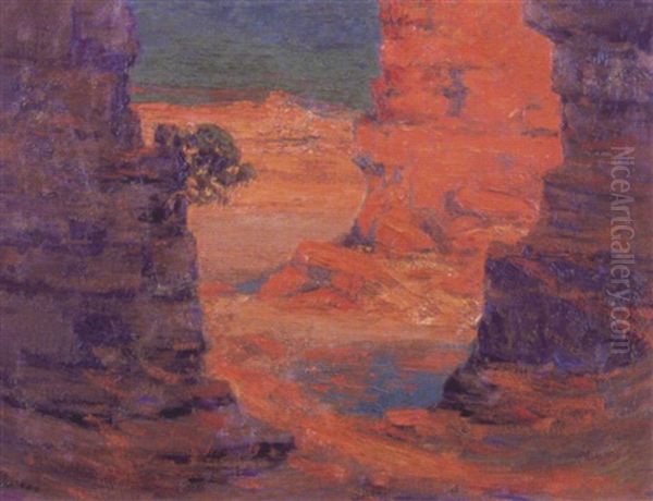 Grand Canyon - view 1