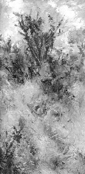 Paysage - view 1