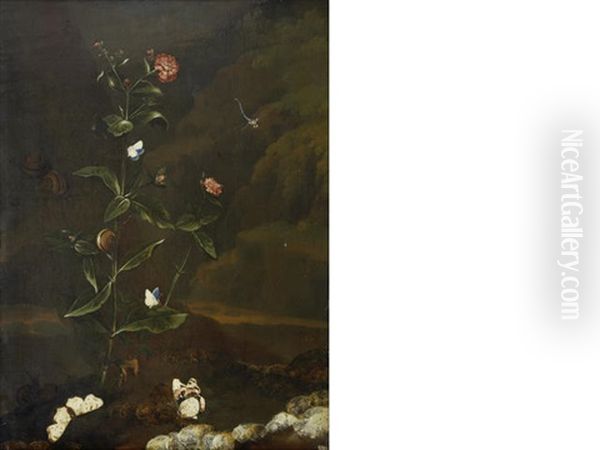 A Carnation, Banded Snails, A Damsel-fly, A Red Admiral And Various Other Butterflies In A Forest - view 1