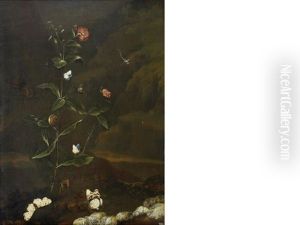 A Carnation, Banded Snails, A Damsel-fly, A Red Admiral And Various Other Butterflies In A Forest by Dirck de Bray
