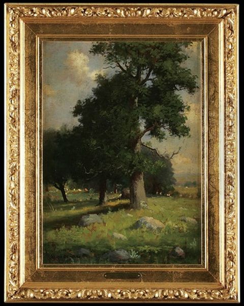 Old Tree, Summer - view 1