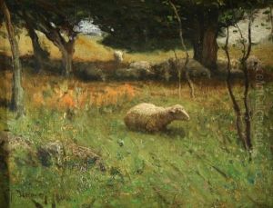 Sheep In The Pasture by Franklin B. De Haven