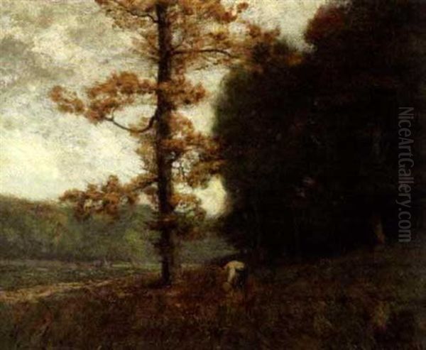 Woodland Scene - view 1