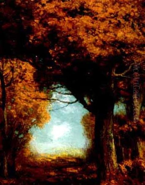 Golden Forest - view 1