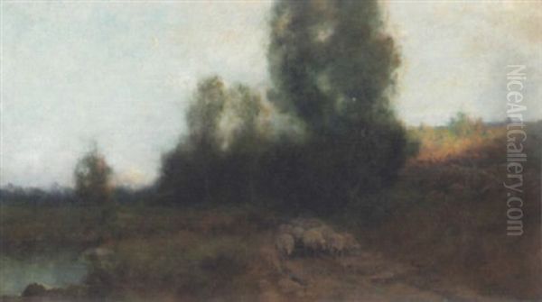 Sheep At Twilight - view 1