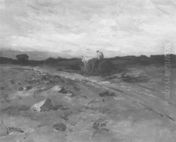 Farmer Plowing A Field - view 1