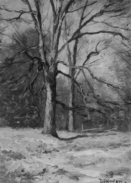 Tree - view 1
