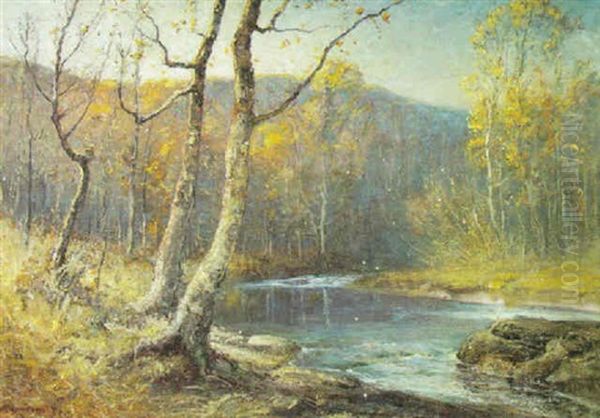 River Through The Forest - view 1