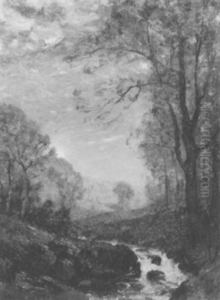 Landscape - view 1