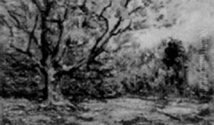 Autumn 1909 Autumn 1909