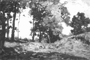 Summer Landscape Summer Landscape