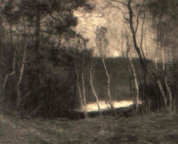 Twilight In Autumn - view 1